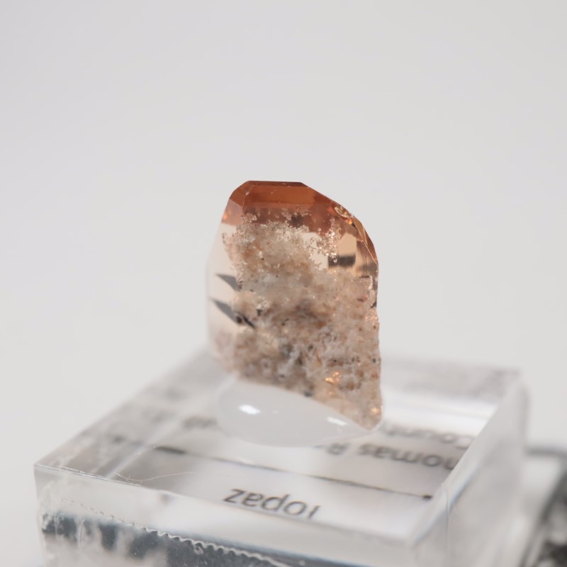 �楿���� �ȥѡ���