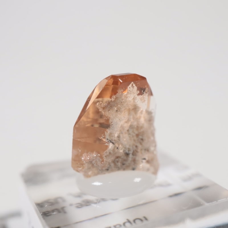 �楿���� �ȥѡ���