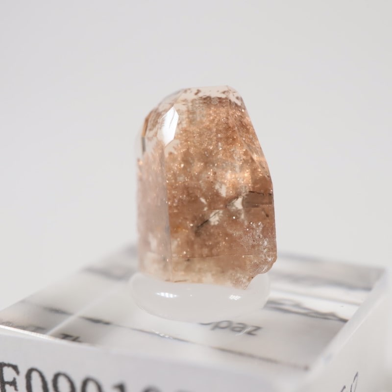 �楿���� �ȥѡ���