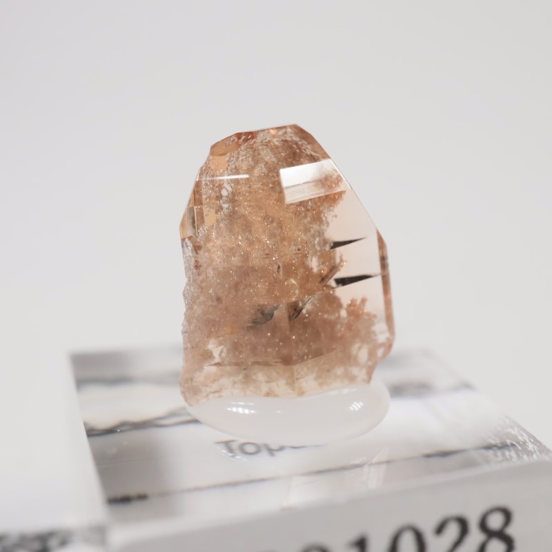 �楿���� �ȥѡ���