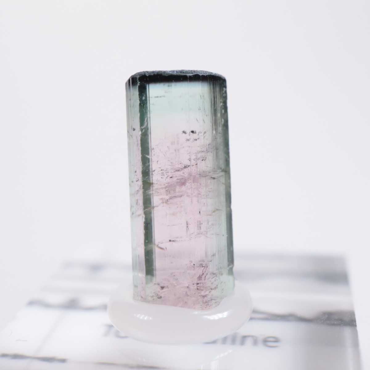 Coronel Murta�� �ȥ�ޥ��