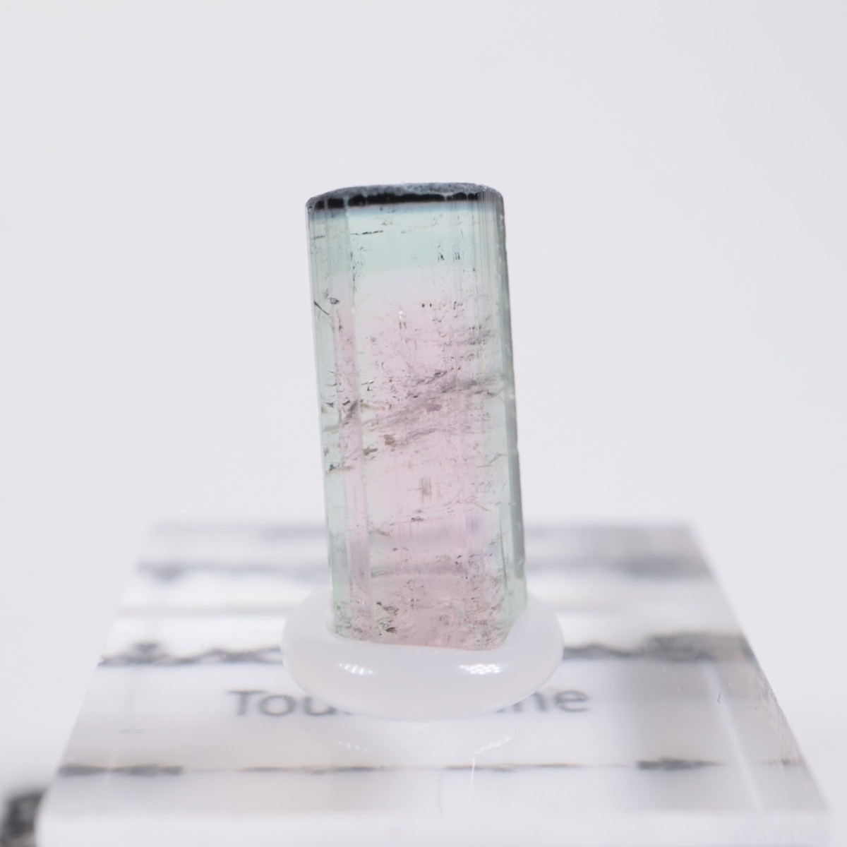 Coronel Murta�� �ȥ�ޥ��