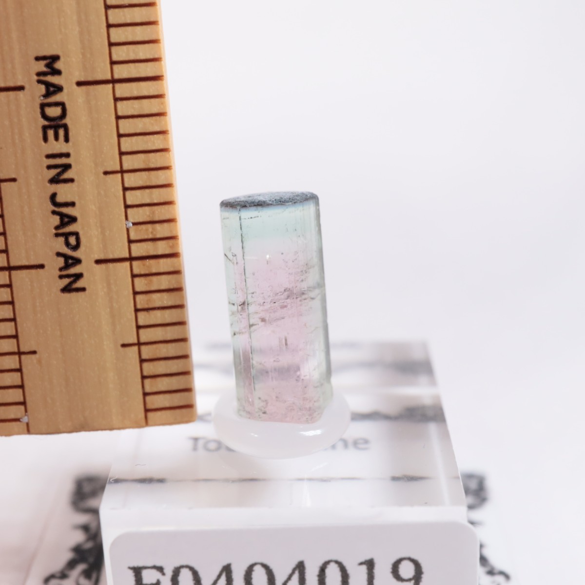 Coronel Murta�� �ȥ�ޥ��