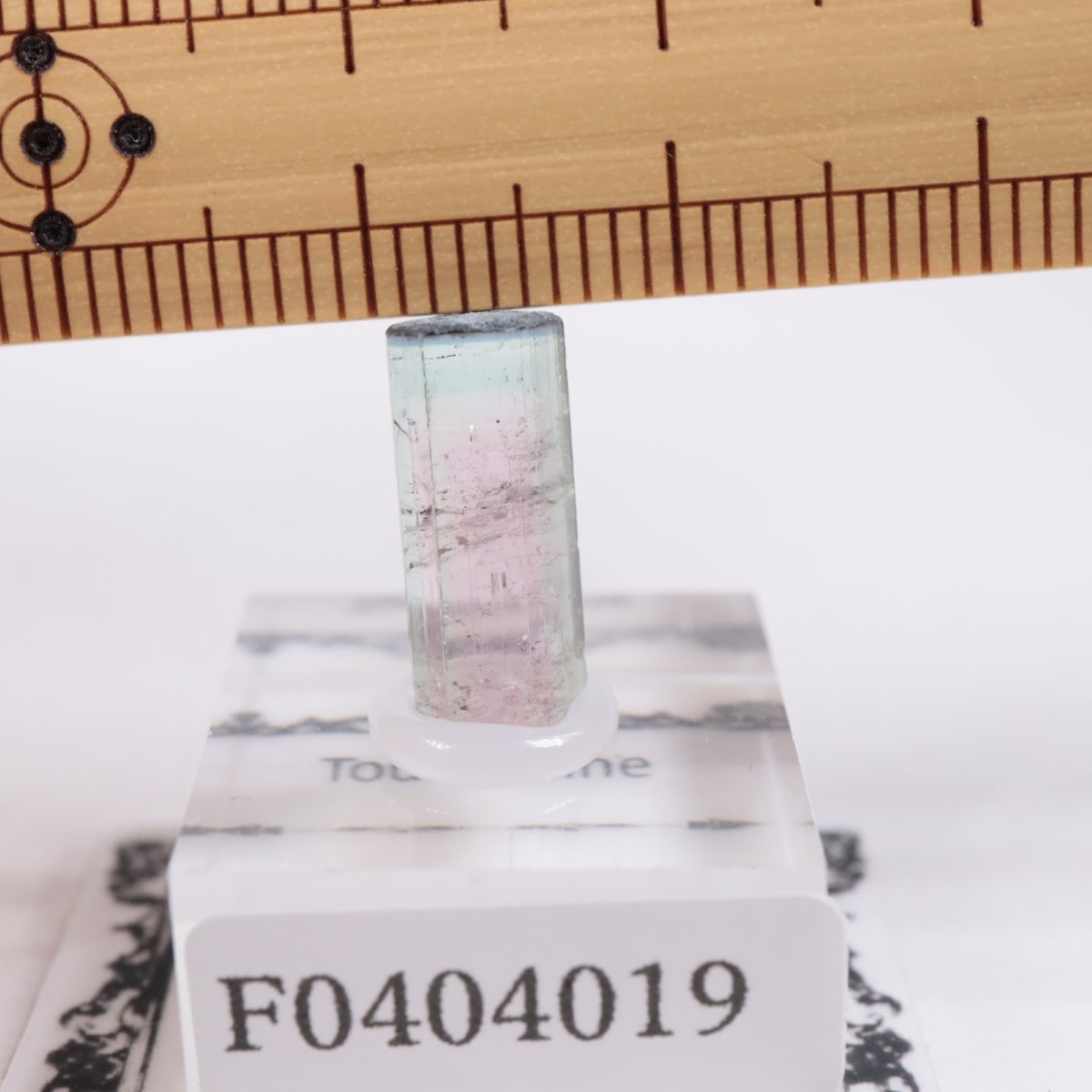 Coronel Murta�� �ȥ�ޥ��