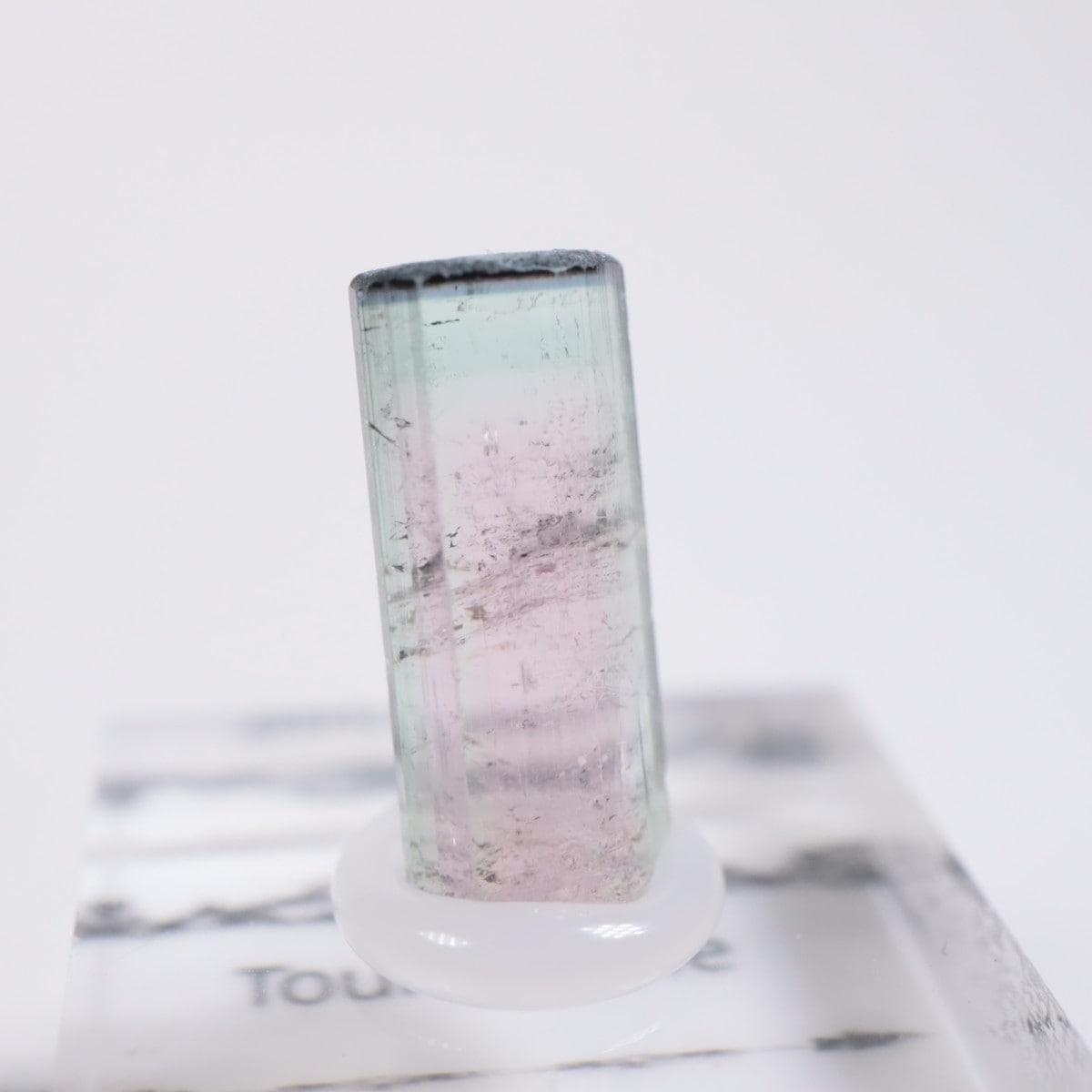 Coronel Murta�� �ȥ�ޥ��