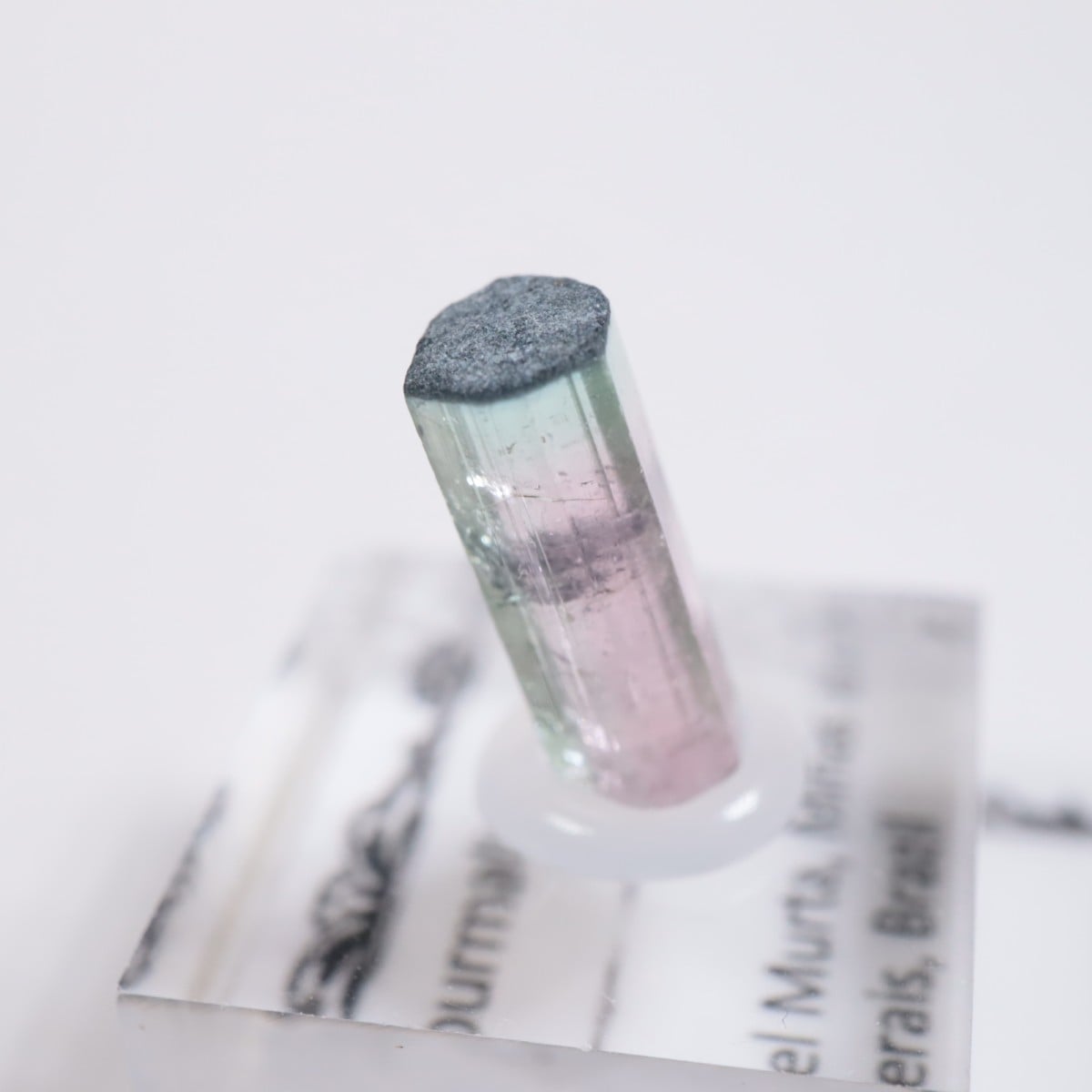 Coronel Murta�� �ȥ�ޥ��