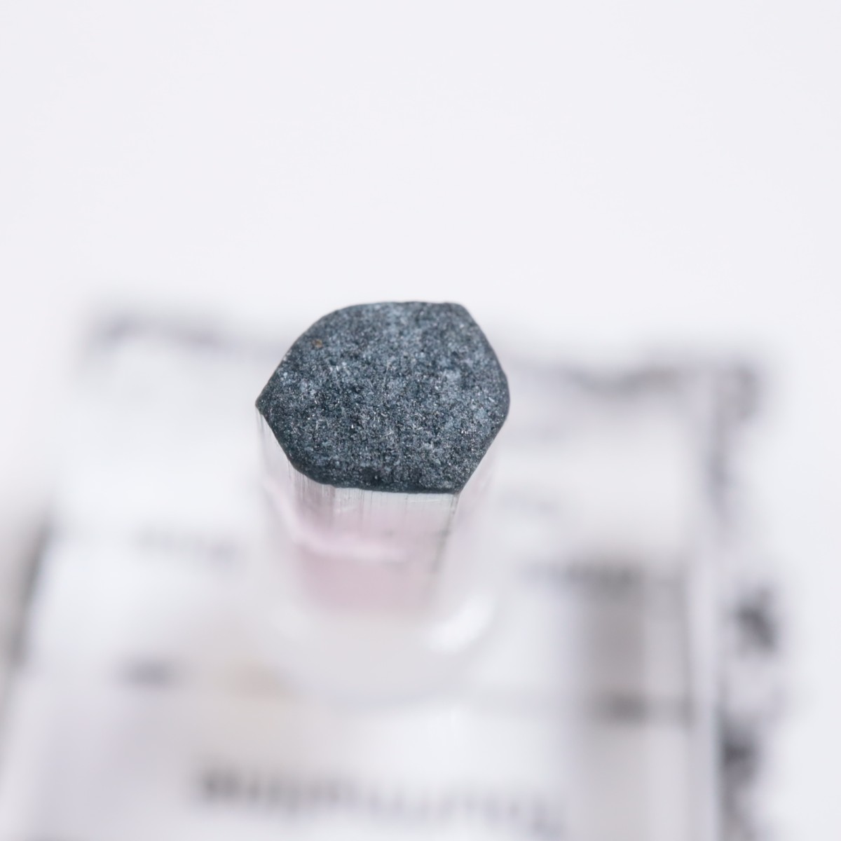 Coronel Murta�� �ȥ�ޥ��