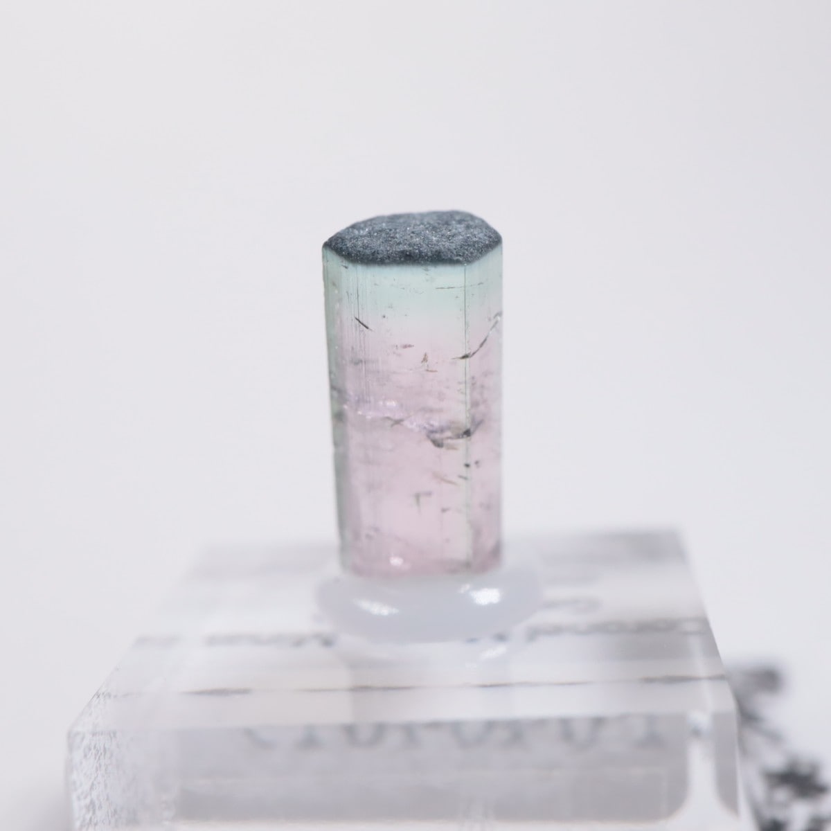 Coronel Murta�� �ȥ�ޥ��