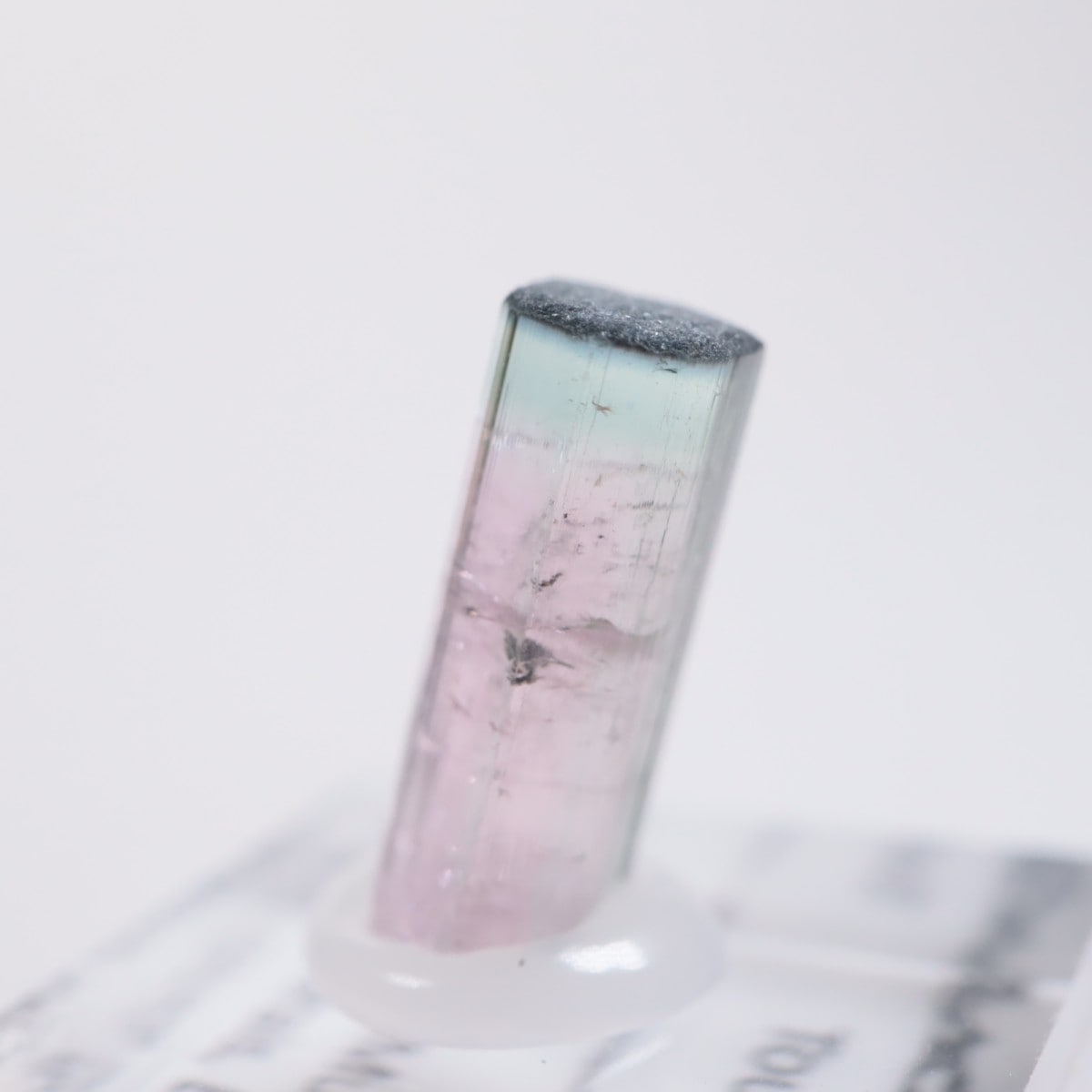 Coronel Murta�� �ȥ�ޥ��