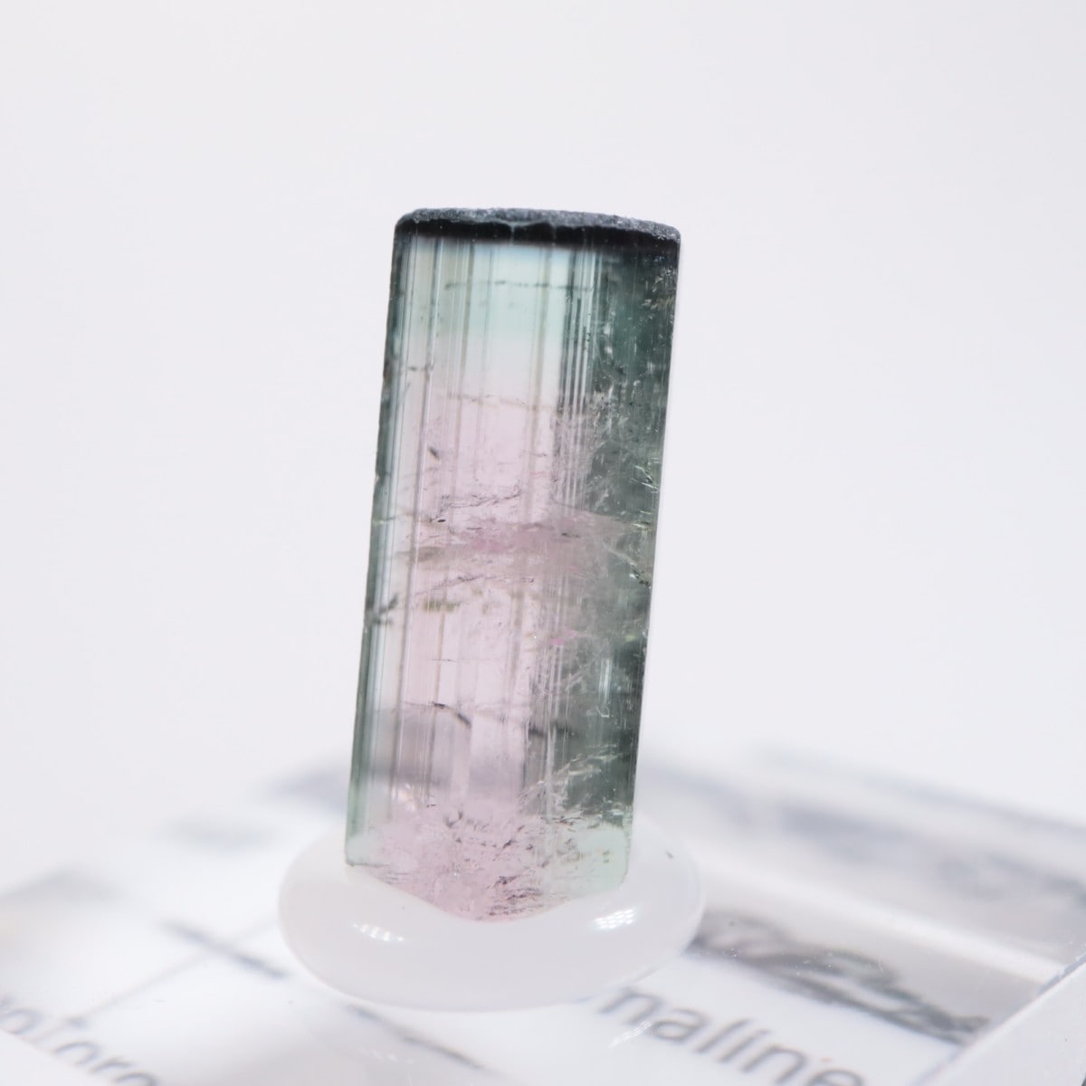 Coronel Murta�� �ȥ�ޥ��