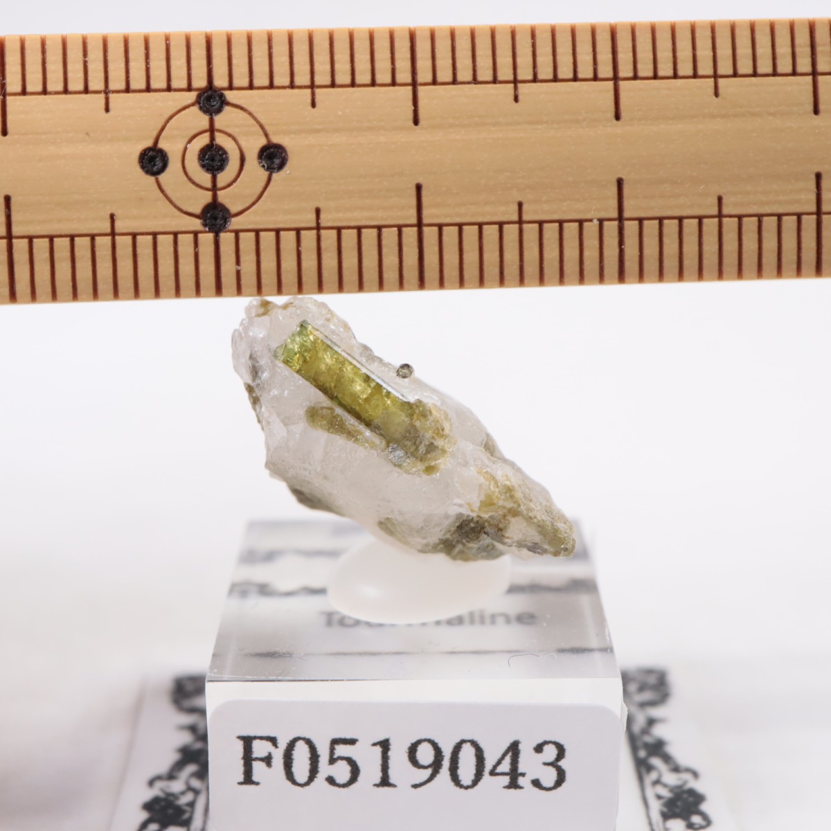 �֥饸�뻺 �ȥ�ޥ��