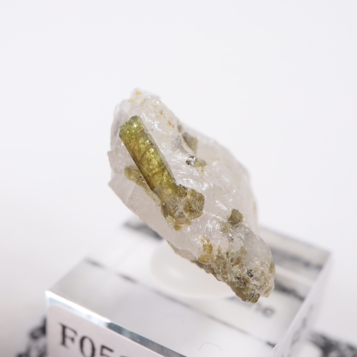 �֥饸�뻺 �ȥ�ޥ��