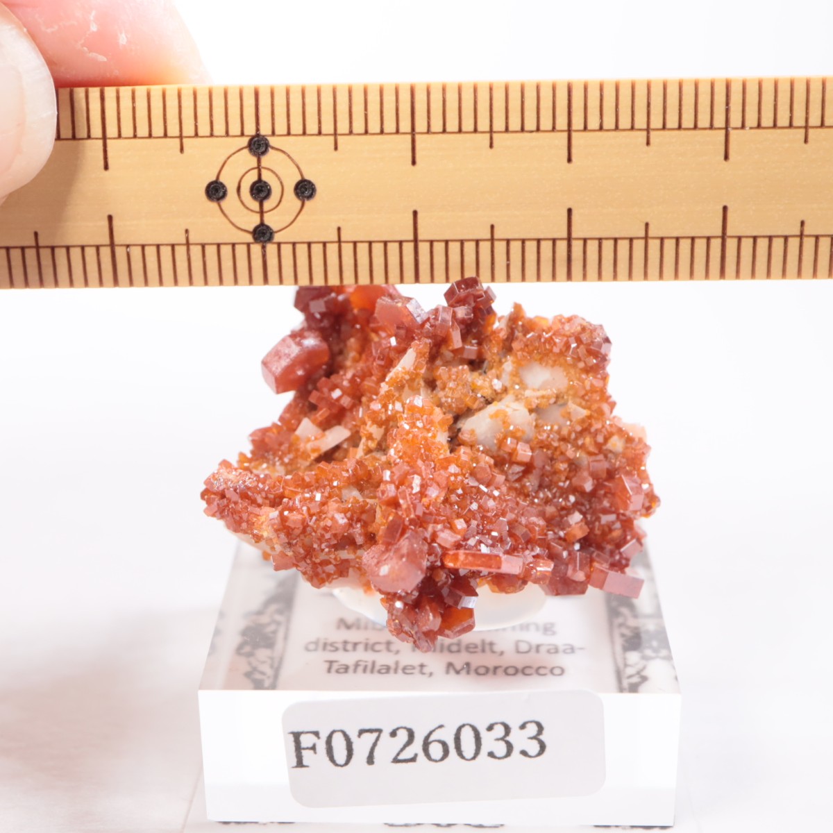 ����å��� �Хʥǥ��ʥ���