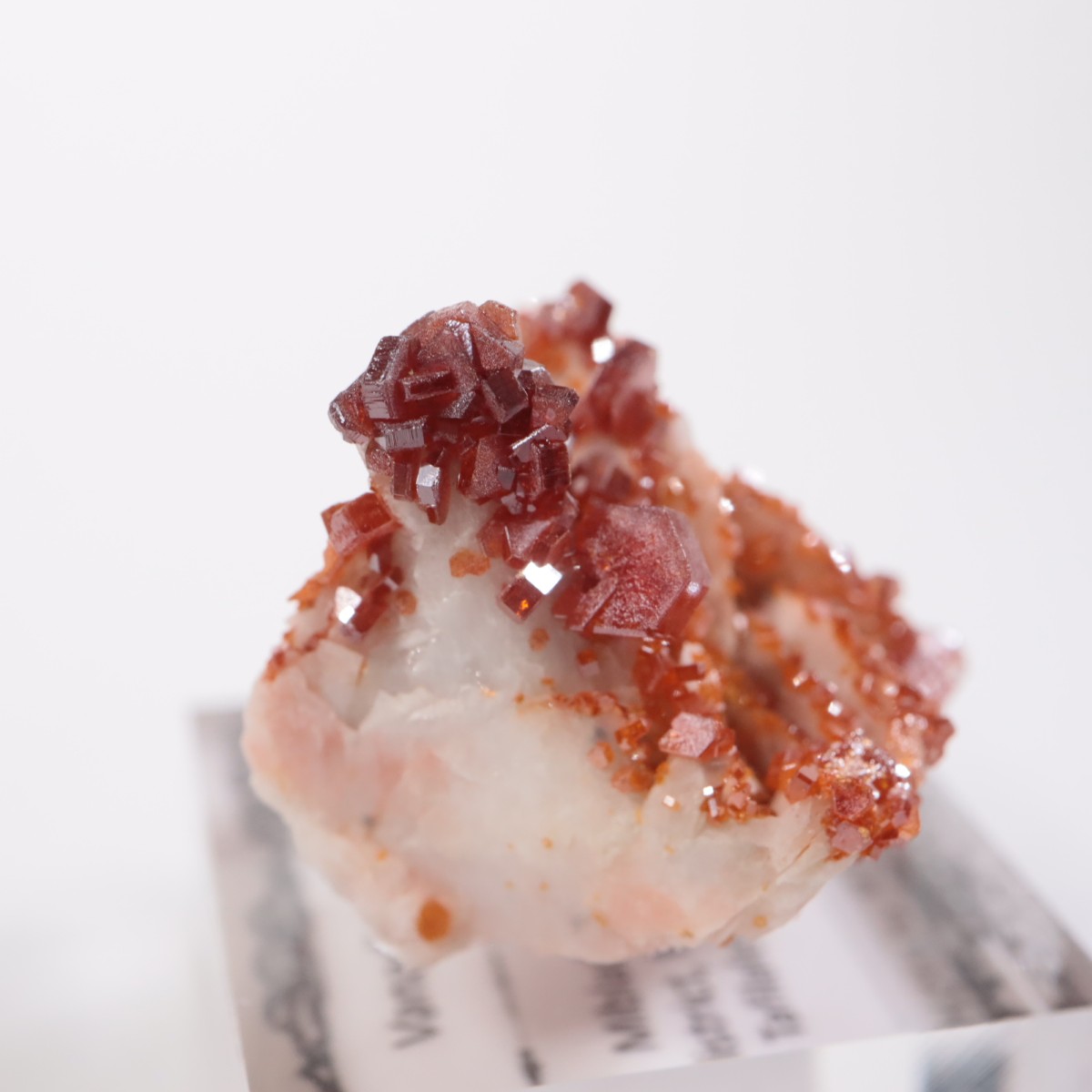 ����å��� �Хʥǥ��ʥ���