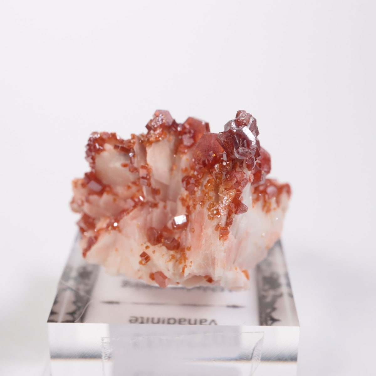 ����å��� �Хʥǥ��ʥ���