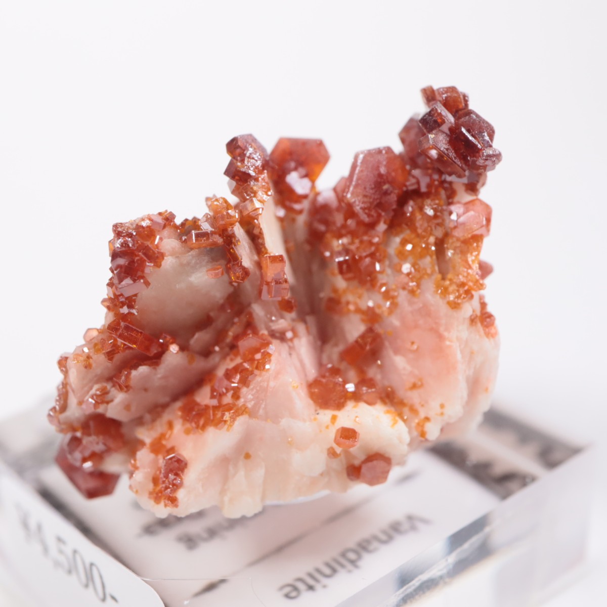 ����å��� �Хʥǥ��ʥ���