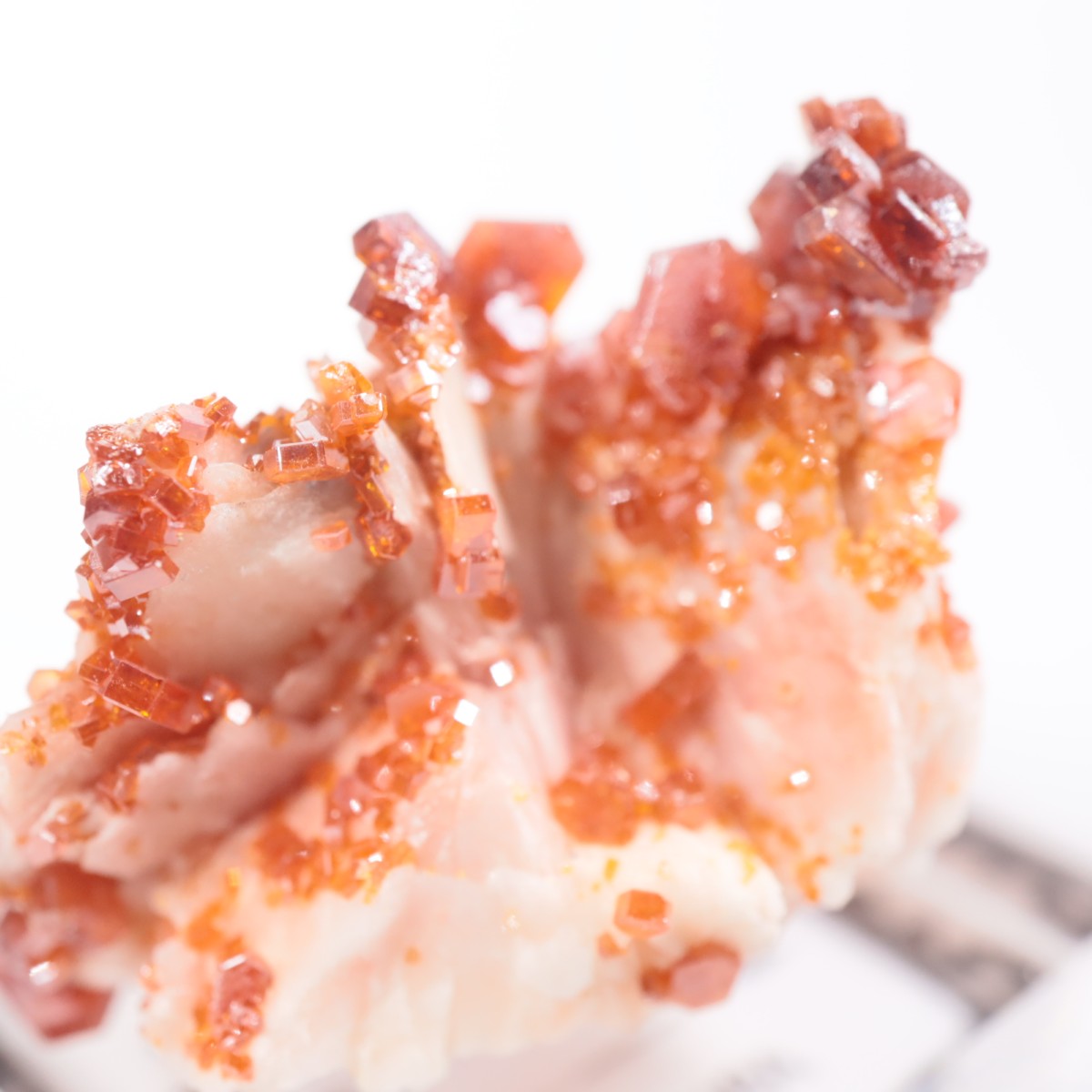 ����å��� �Хʥǥ��ʥ���