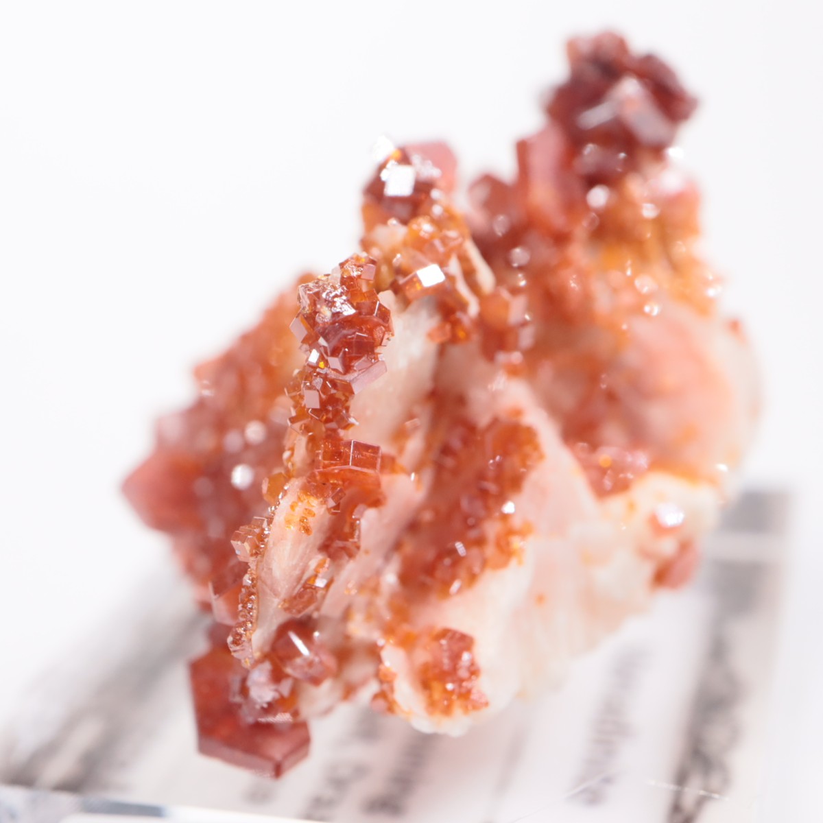 ����å��� �Хʥǥ��ʥ���