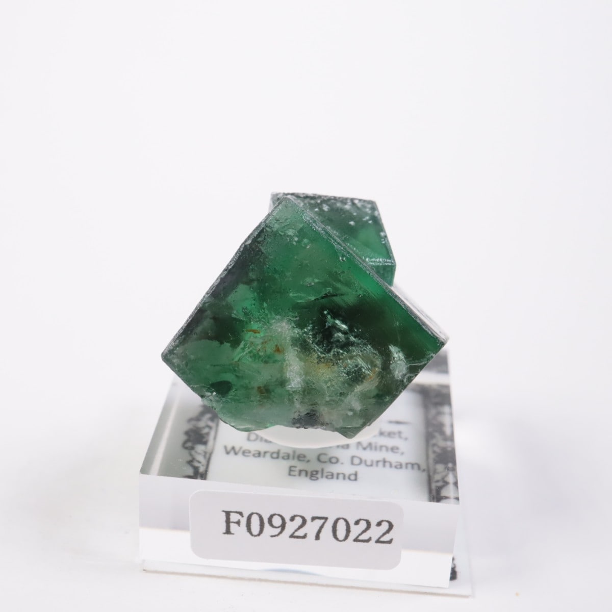 Greedy Hog Pocket�� �ե����饤��