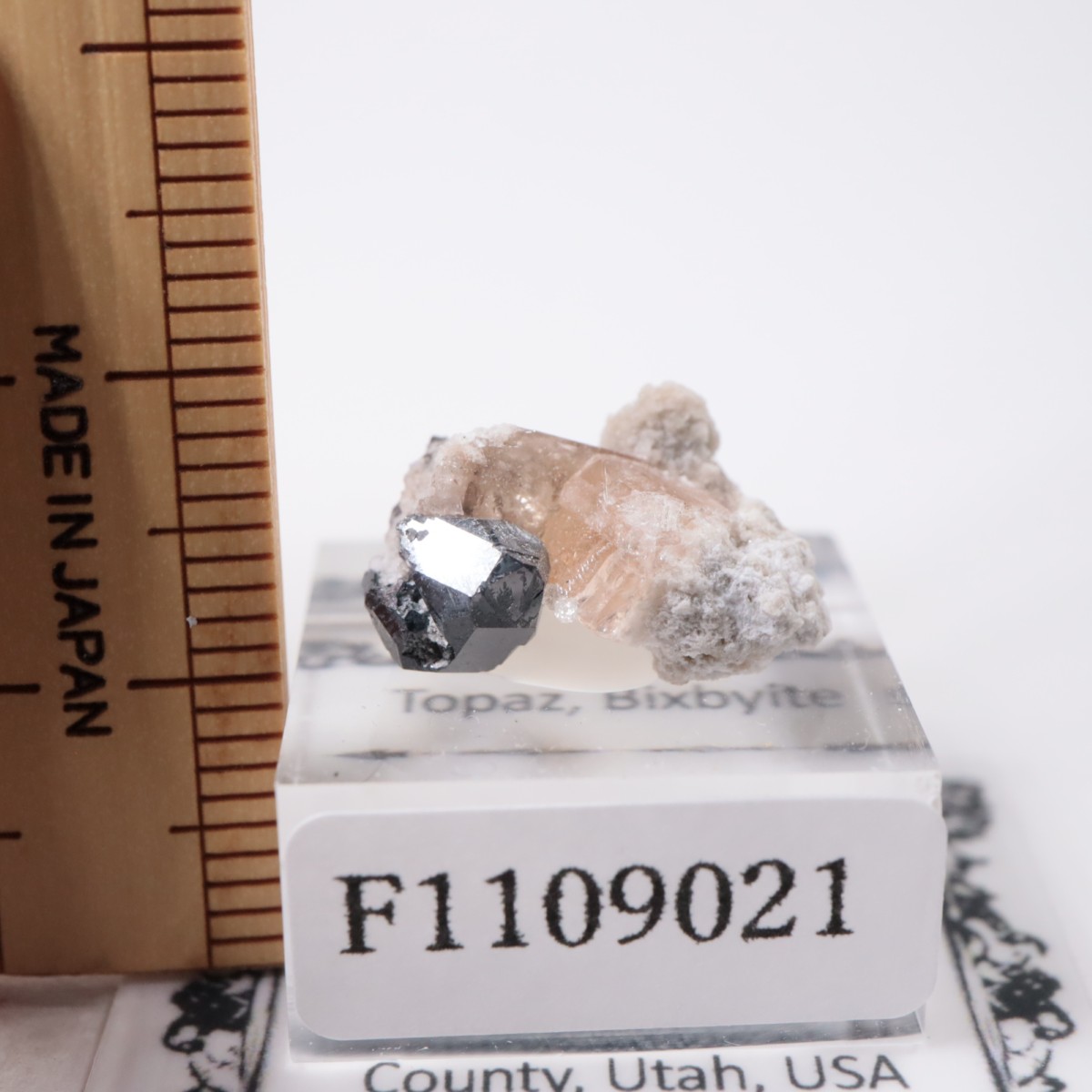 �����顼������ɹۻ� �ȥѡ������ӥ����ӥ�����