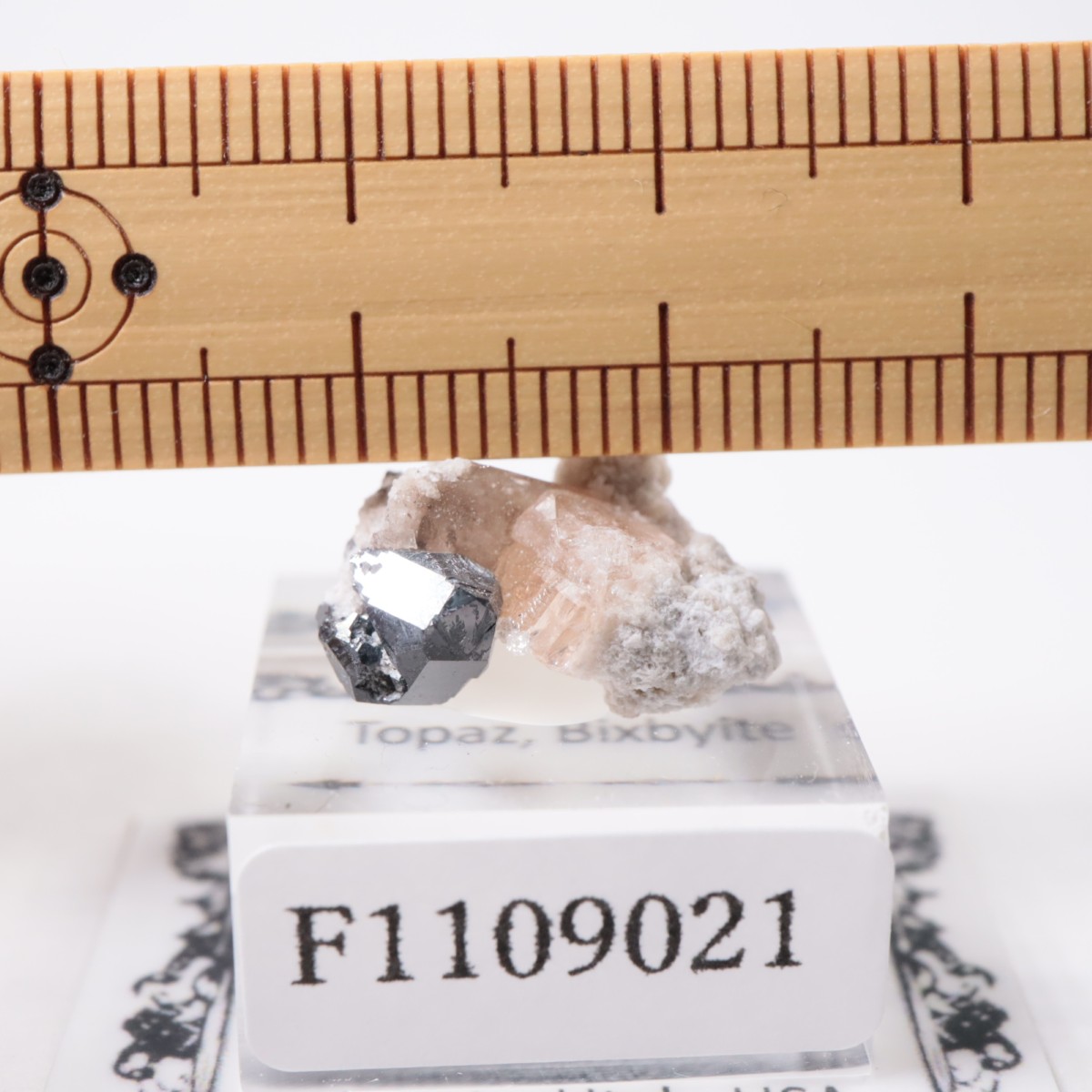 �����顼������ɹۻ� �ȥѡ������ӥ����ӥ�����