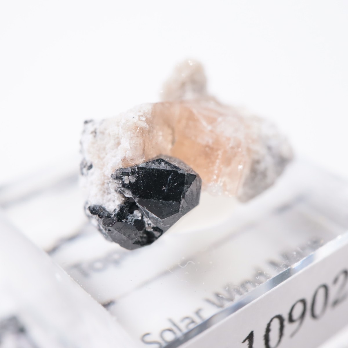 �����顼������ɹۻ� �ȥѡ������ӥ����ӥ�����