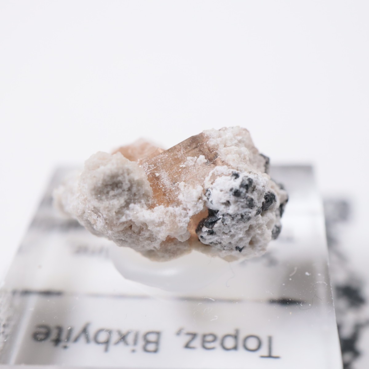 �����顼������ɹۻ� �ȥѡ������ӥ����ӥ�����