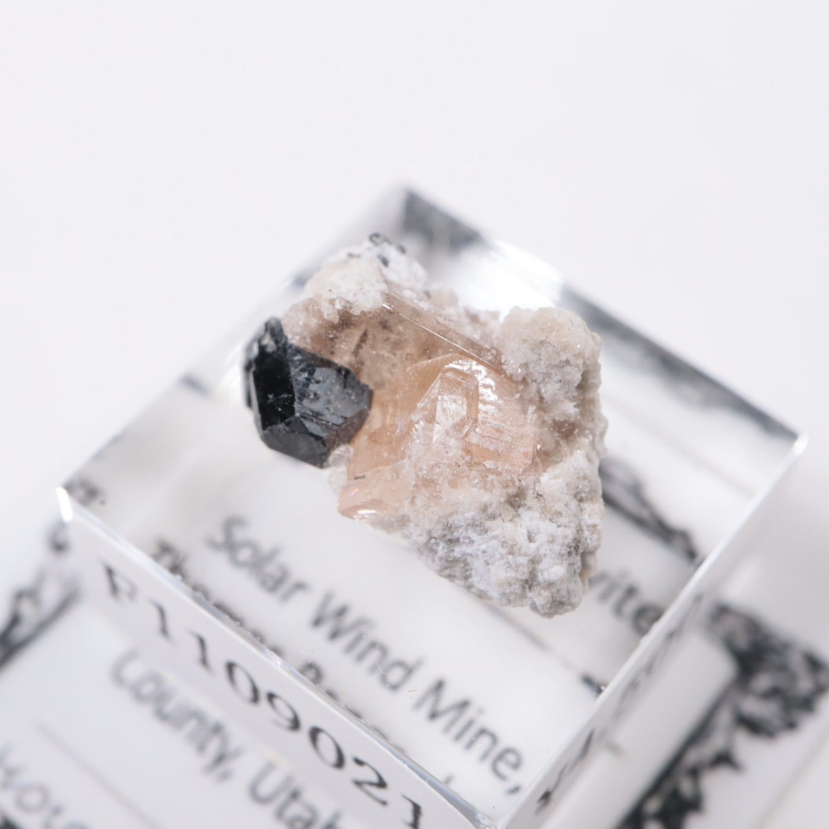 �����顼������ɹۻ� �ȥѡ������ӥ����ӥ�����