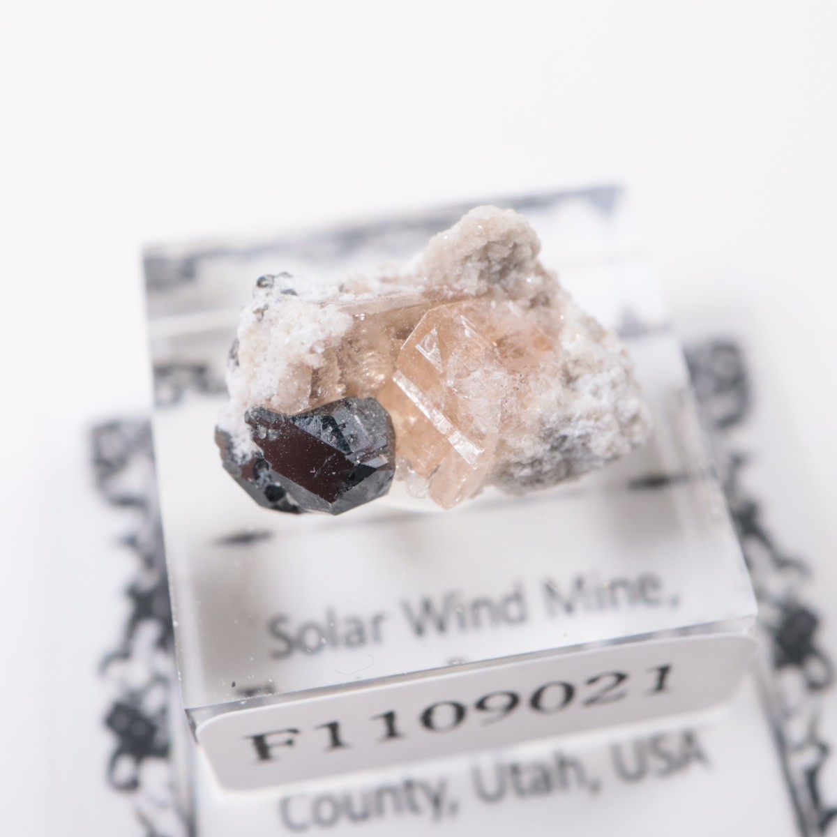 �����顼������ɹۻ� �ȥѡ������ӥ����ӥ�����