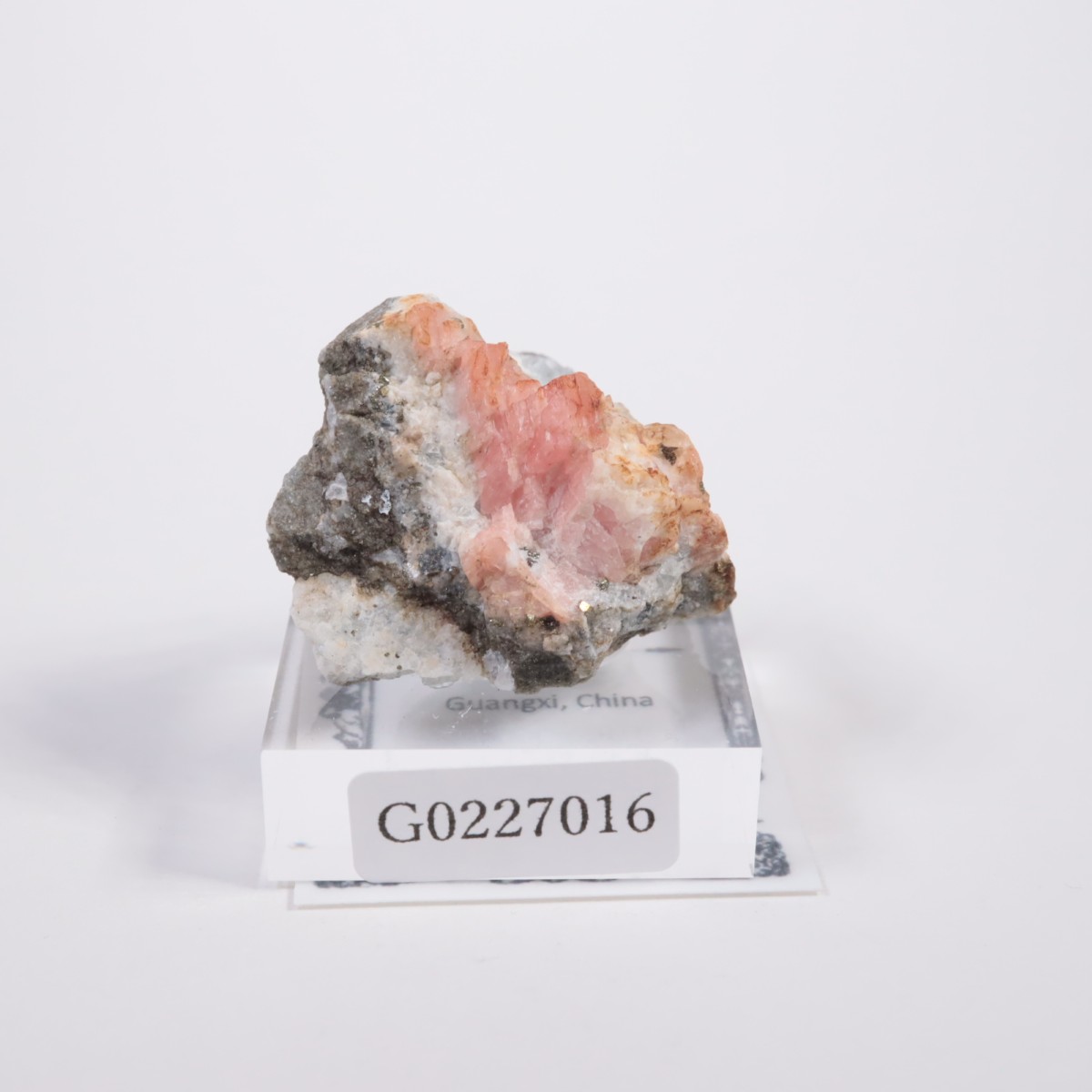 ��� �����ɥ���������