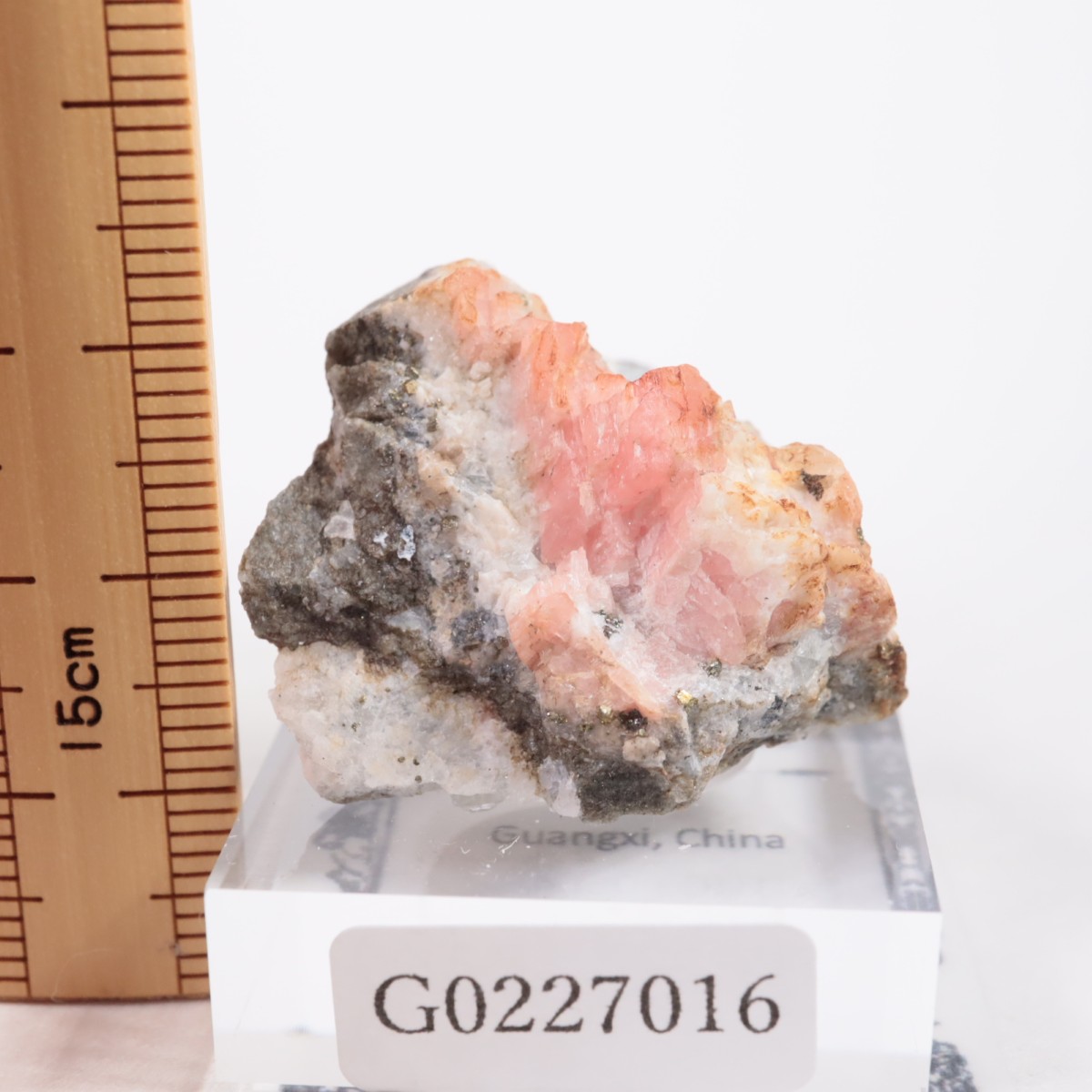 ��� �����ɥ���������