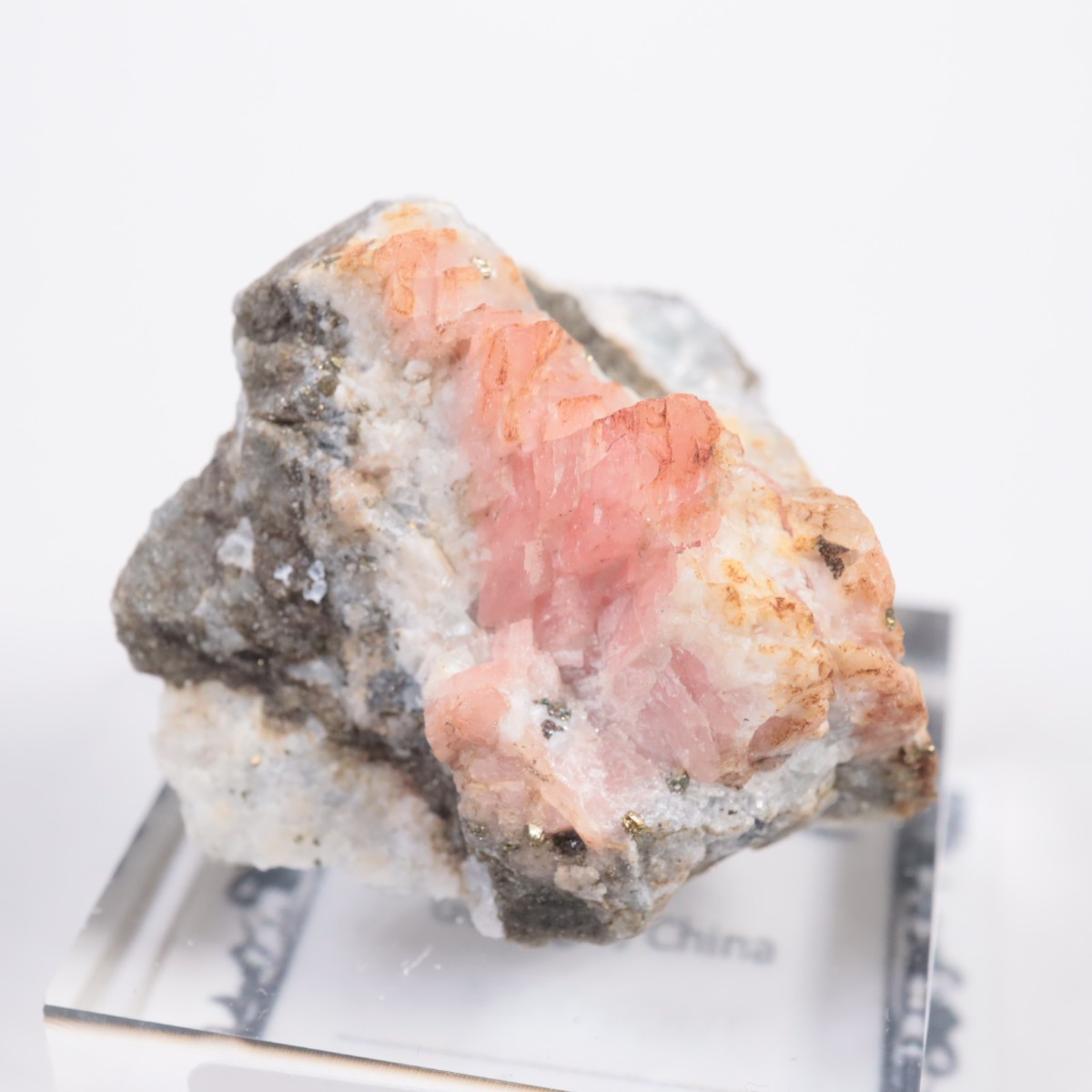 ��� �����ɥ���������