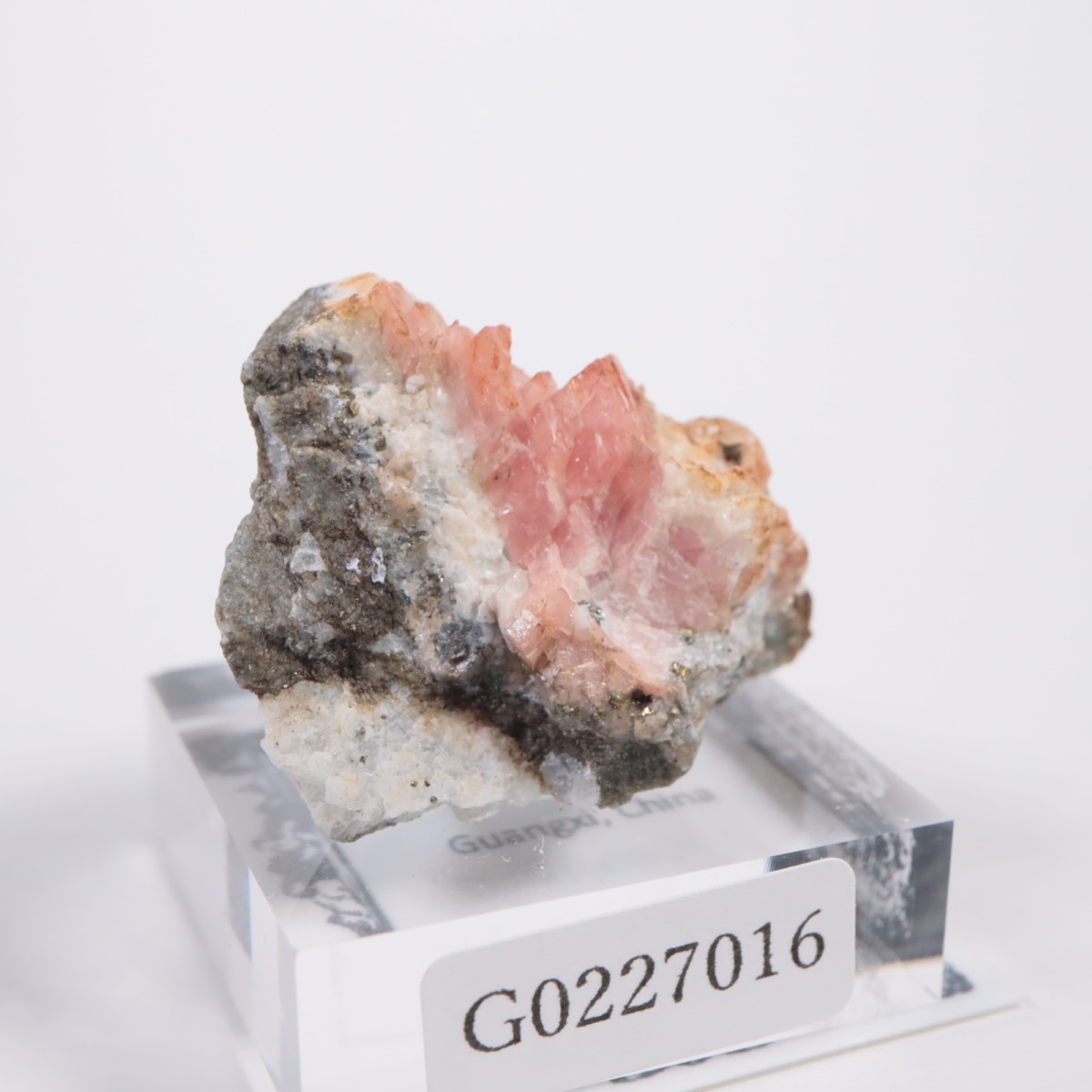 ��� �����ɥ���������