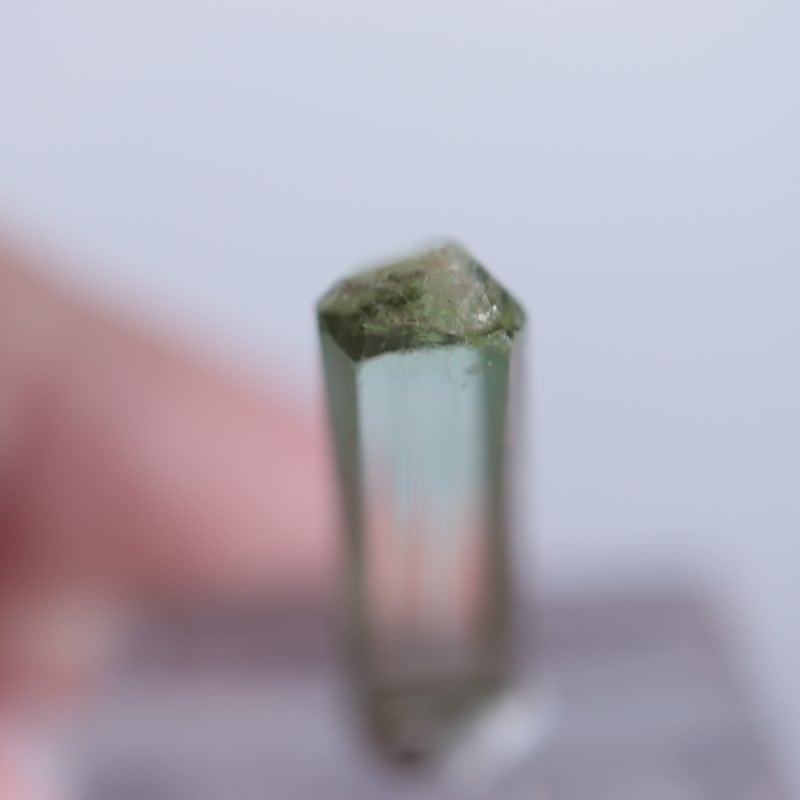 Rubaya鉱山 トルマリン | 鉱物標本,タ行,トルマリン/電気石 | ほたるみ