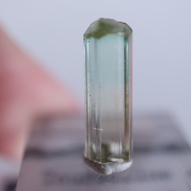 トルマリン　コンゴ　rubaya 鉱物標本 Rubaya鉱山 トルマリン | 鉱物標本,タ行,トルマリン/電気石 | ほたるみ