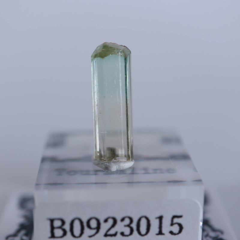 Rubaya鉱山 トルマリン | 鉱物標本,タ行,トルマリン/電気石 | ほたるみ