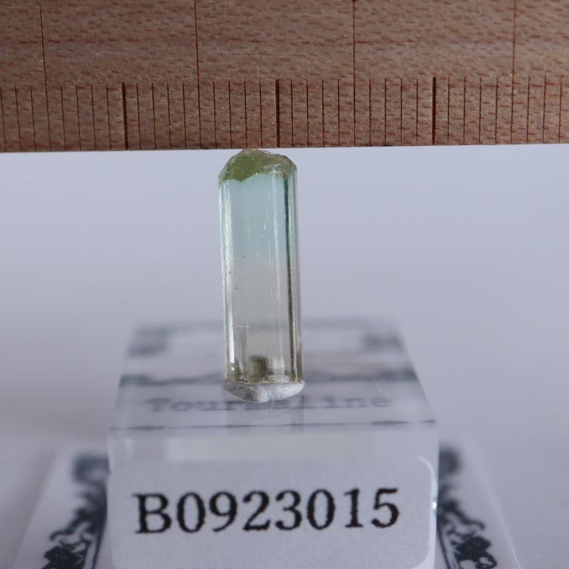 Rubaya鉱山 トルマリン | 鉱物標本,タ行,トルマリン/電気石 | ほたるみ