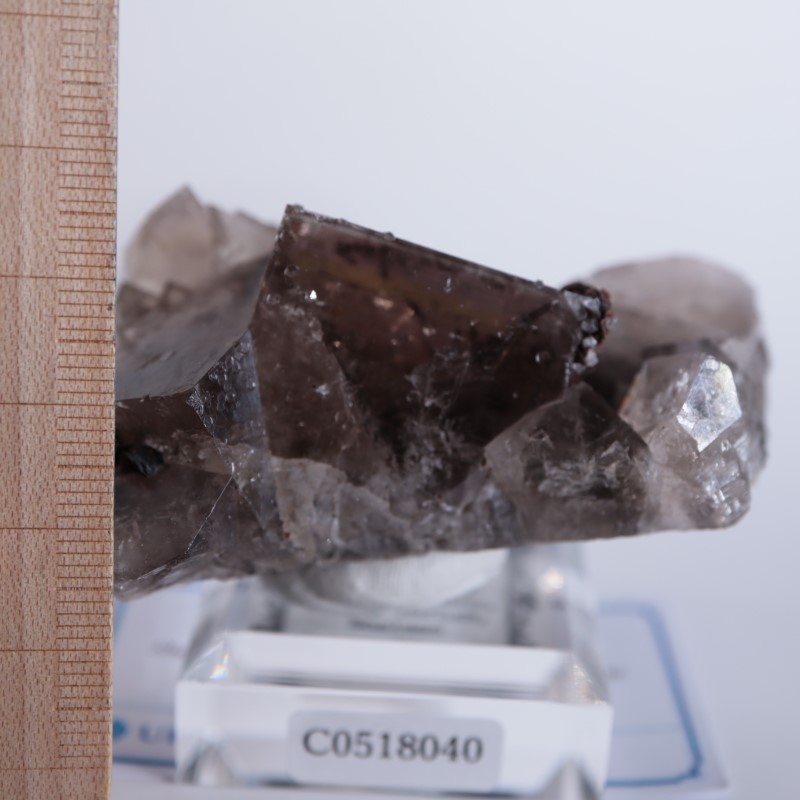 Sherry Twins Pocket産 フローライト（蛍石） | 鉱物標本,ハ行,フロー