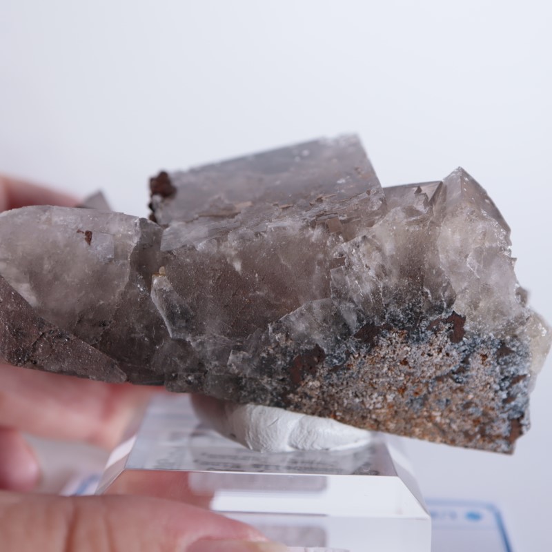 Sherry Twins Pocket産 フローライト（蛍石） | 鉱物標本,ハ行,フロー