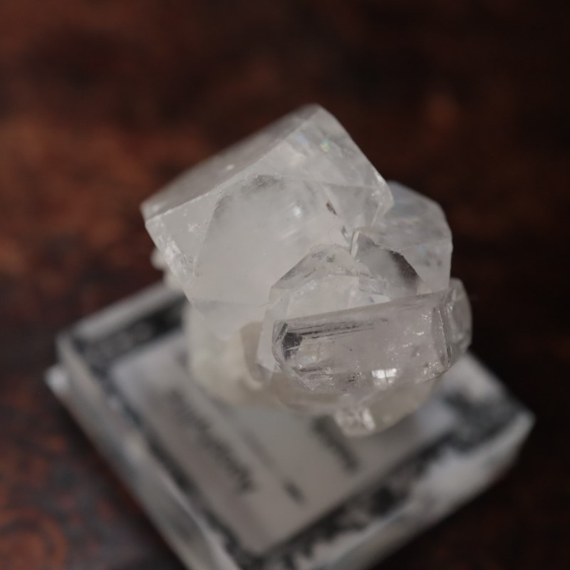 Nashik�������ݥե��饤��