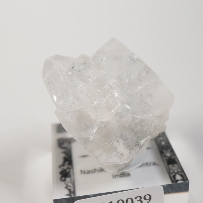 Nashik�������ݥե��饤��