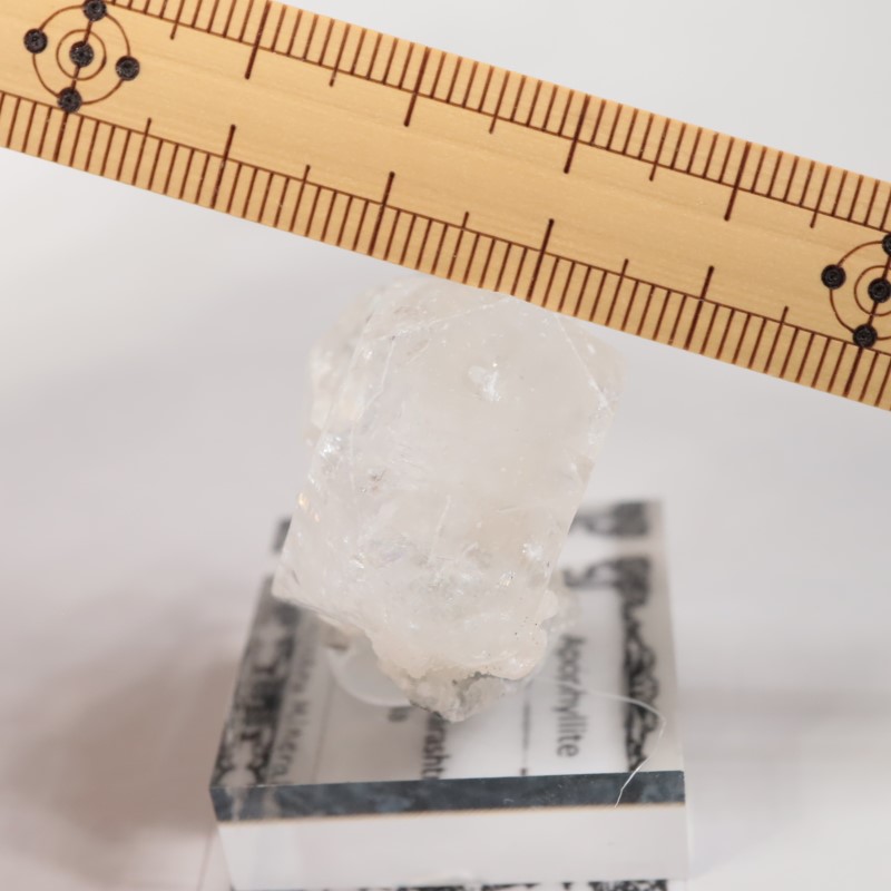 Nashik�������ݥե��饤��