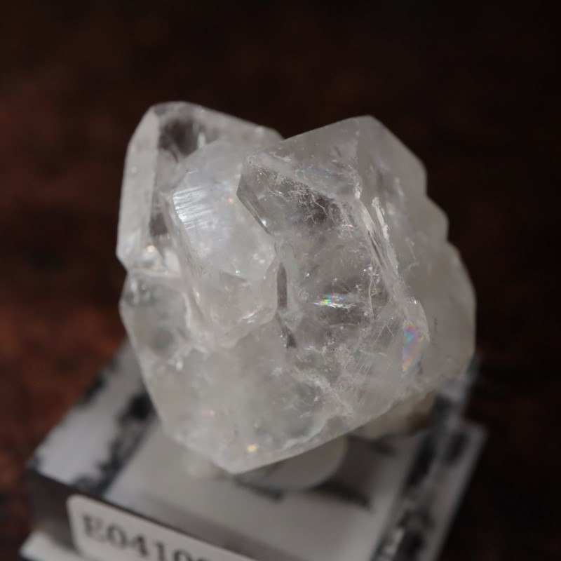 Nashik�������ݥե��饤��