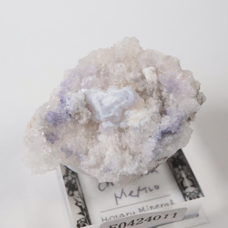 �ᥭ���������ե����饤�ȡ����륻�ɥˡ�