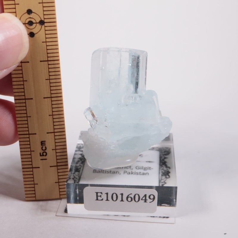 �ѥ������󻺡��������ޥ��