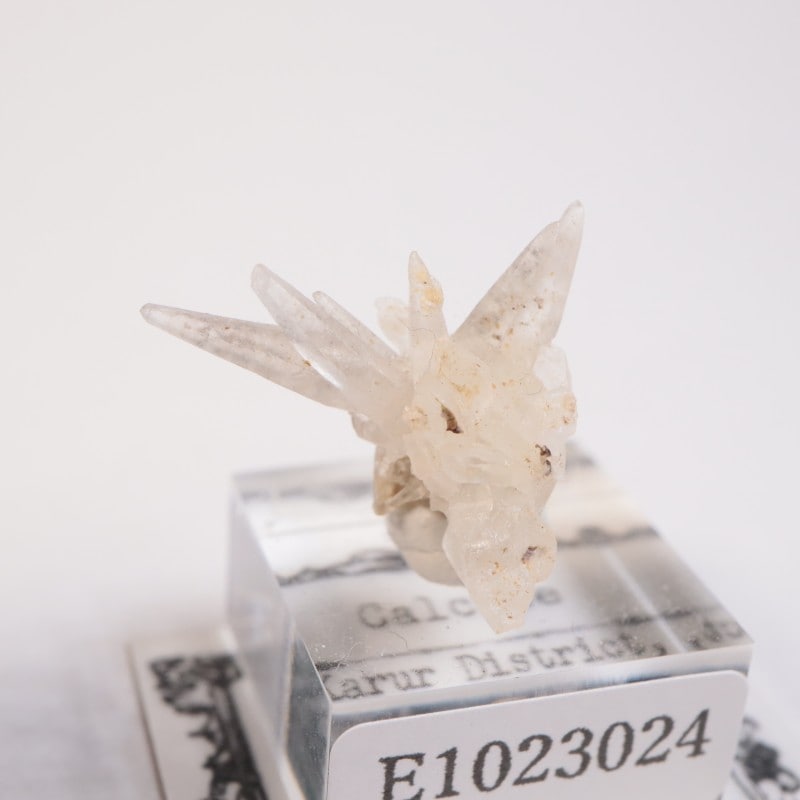 Karur�������륵����