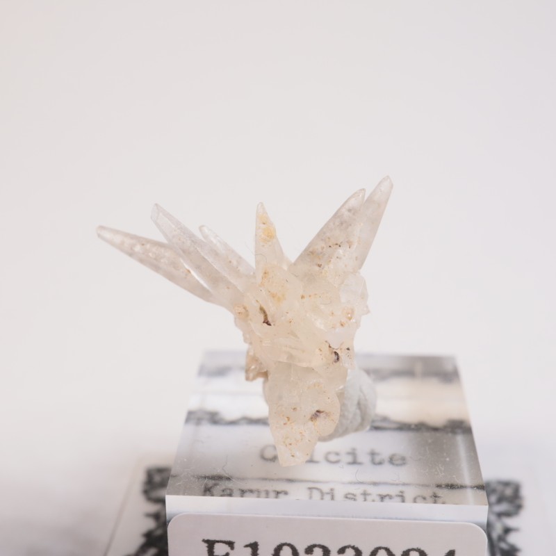 Karur�������륵����