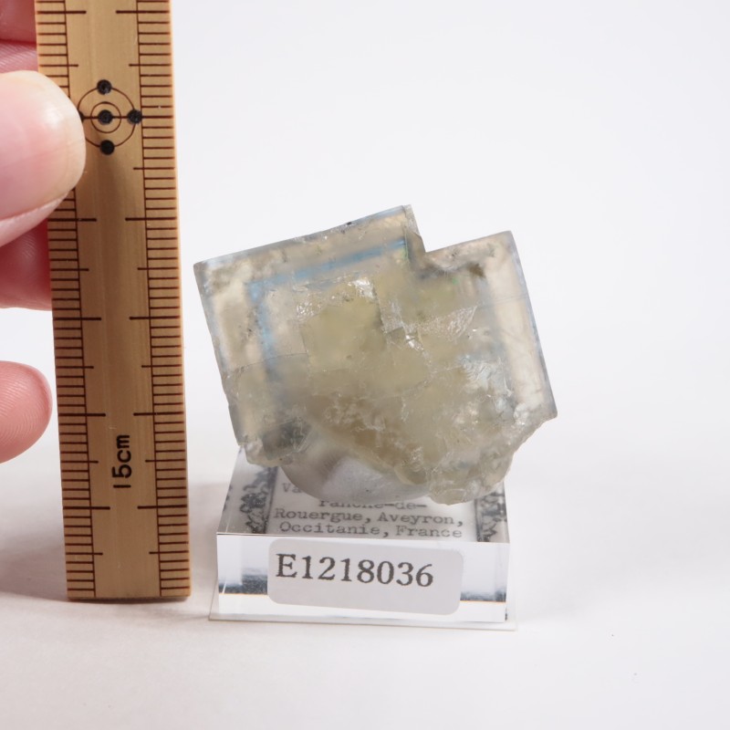 �ե�󥹻� �ե����饤��