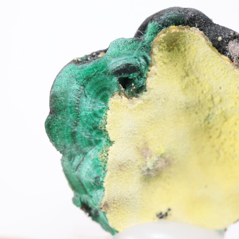 オーストラリア産 マラカイト | 鉱物標本,マ行,マラカイト/孔雀石