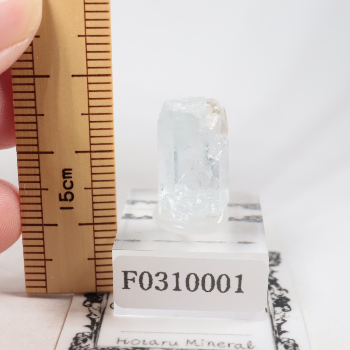 �ѥ������� �٥��